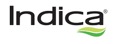 Indica